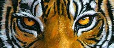 Armorel Mission Statement Tiger image